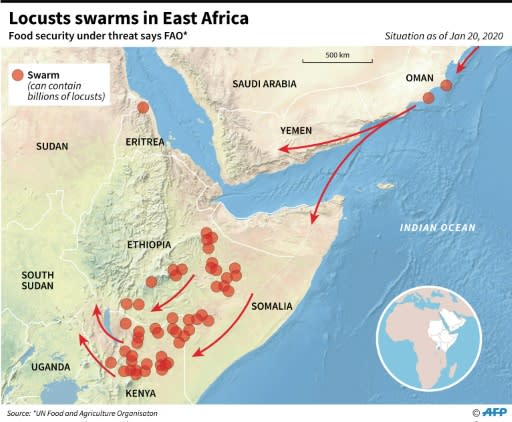 Locust plague in East Africa