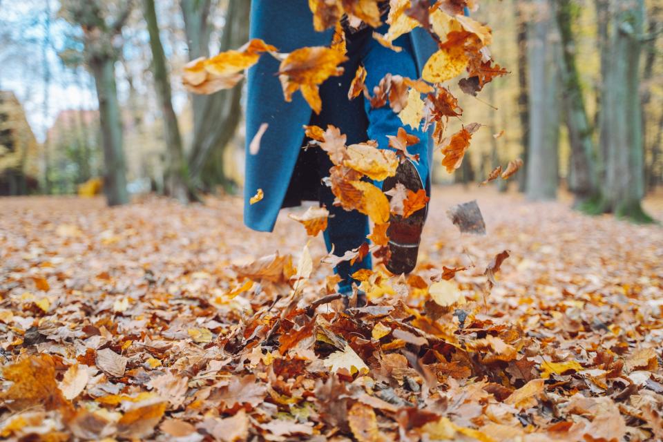 A pile of brightly colored fall leaves being tossed into the air next to a close up of an unidentified person in boots and a jacket. 