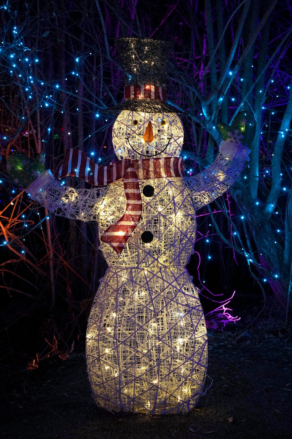 Check out the 40-acre walk-through Holiday Lights Spectacular 
at Providence's Roger Williams Park Zoo.