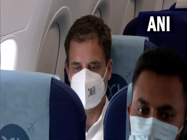 Congress leader Rahul Gandhi onboard a flight to Lucknow (Photo/ANI)