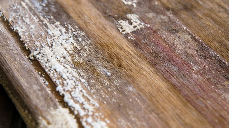 Mould growing on wooden board