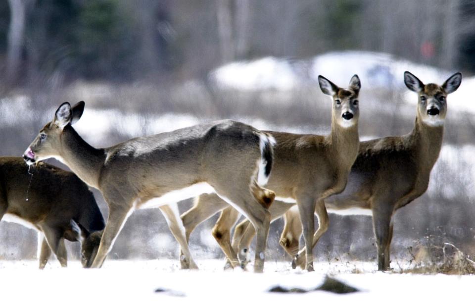 Ohio hunters checked 213,928 deer during the 2023-24 season.