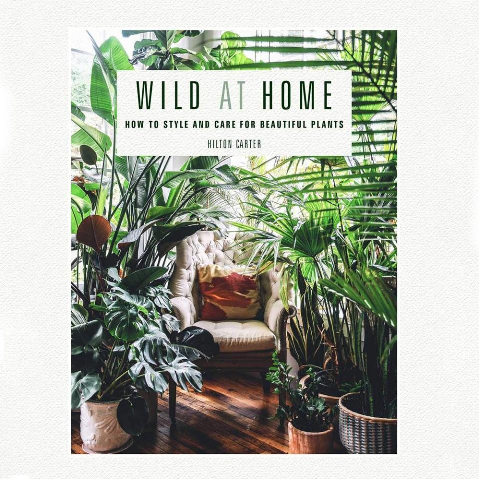 25) Wild At Home