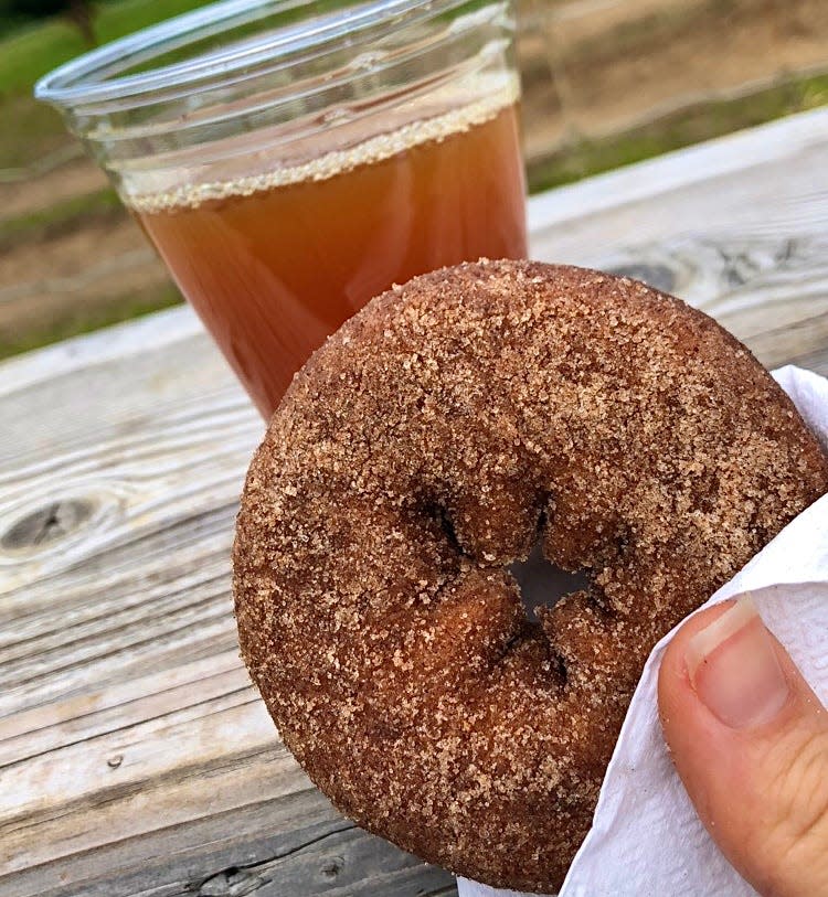 An apple cider donut from Riamede Farm.