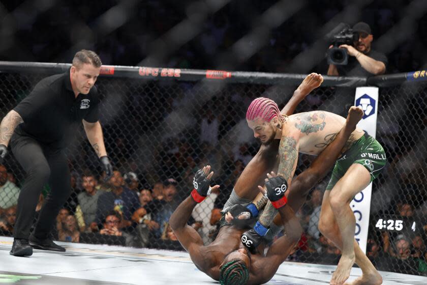 Sean O'Malley, top, lands punches after knocking down Aljamain Sterling during their UFC 292 Bantamweight title mixed martial arts fight, Saturday, August 19, 2023, in Boston. O'Malley won the title via 2nd round KO. (AP Photo/Gregory Payan),.