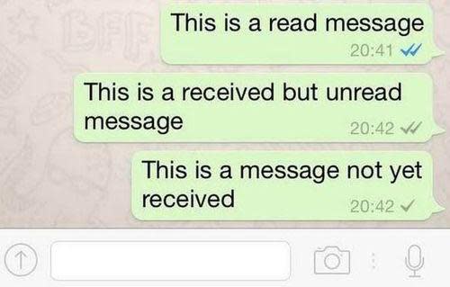 Graphic explaining checkmark system in WhatsApp