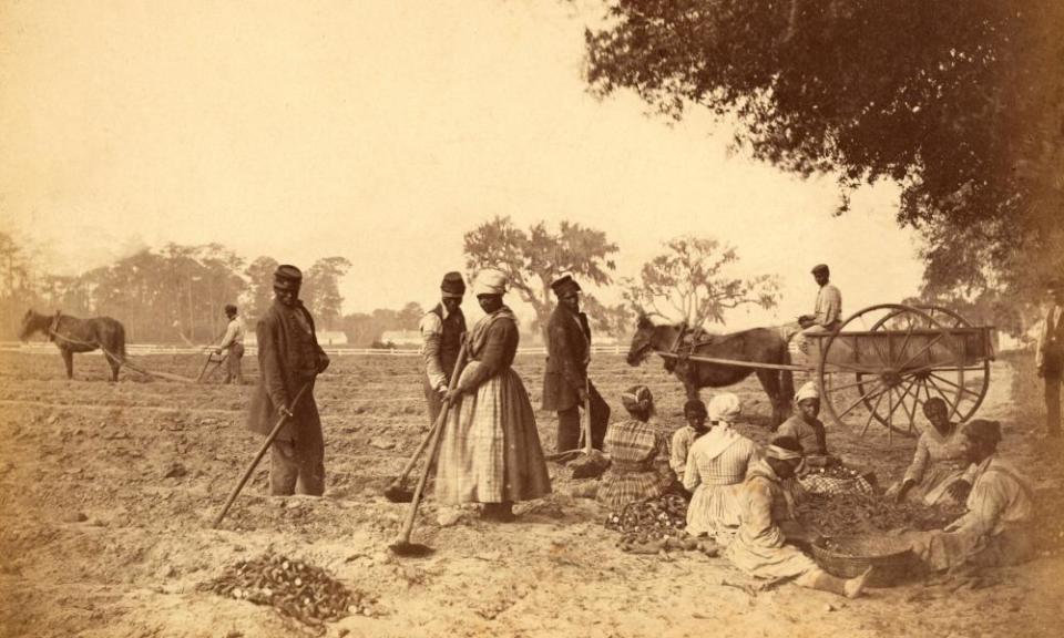 Slaves working in the sweet potato fields in the Hopkinson plantation in South Carolina, c1862