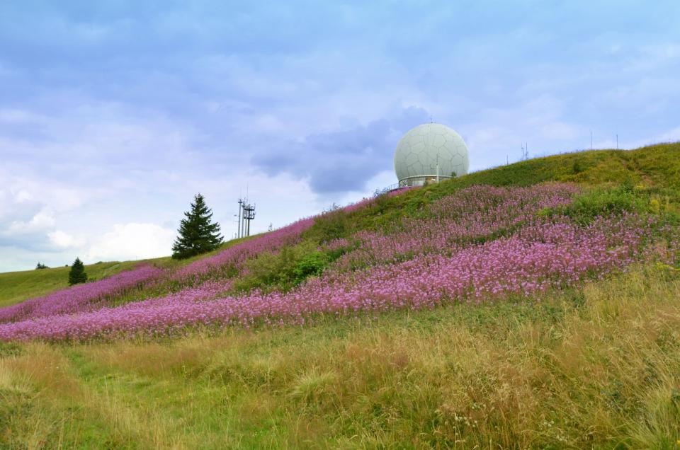 <p>Die 950 Meter hohe Wasserkuppe in Hessen beeindruckt mit einer 360-Grad-Panoramaaussichtsplattform. Bei gutem Wetter liefert der Gipfel eine fantastische Fernsicht über die Mittelgebirgslandschaft der Rhön, des Thüringer Waldes und des Spessarts. Ebenfalls auf der Wasserkuppe: ein Segelflugzentrum mit der ältesten Segelflugschule der Welt. (Bild: iStock / Fotofreak75)</p> 