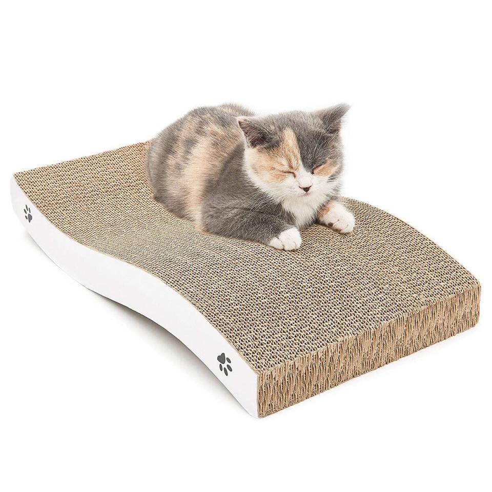 Cat lying on a Coching Cat Scratcher Cardboard