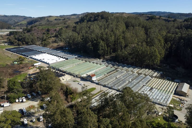 Aerial view of Mountain Mushroom Farm in Half Moon Bay