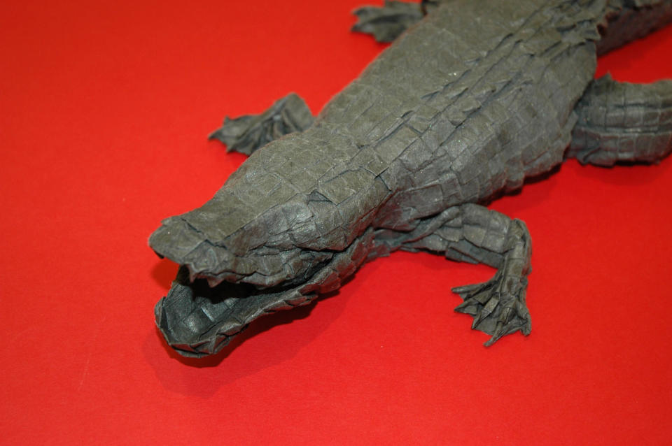 This undated photo courtesy of Origamido in Haverhill, Mass., shows a close-up view of a origami model of an alligator. Designed by Micheal G. LaFosse, the finished piece is 18 inches long. It was folded from a 6-foot by 6-foot piece of paper made by Richard Alexander. (AP Photo/Origamido)