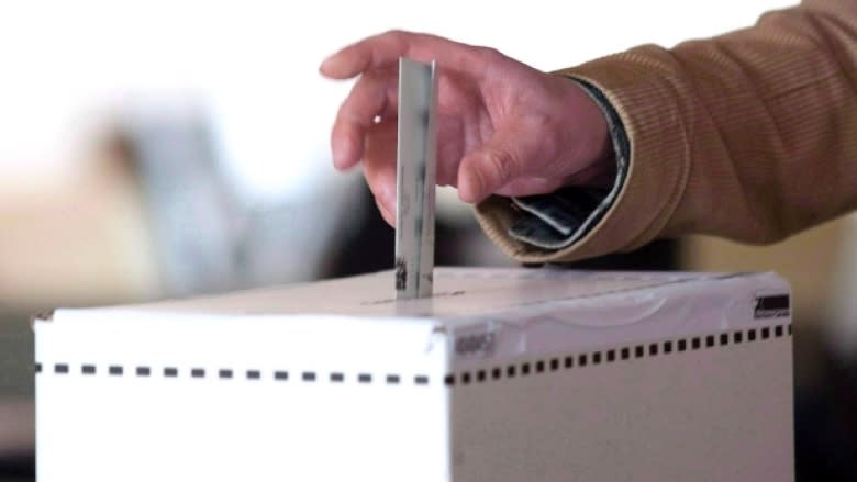 Municipal byelections set throughout B.C. in the next month