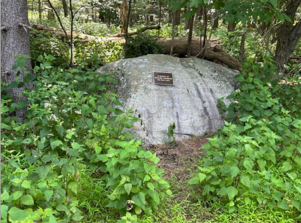 Rock at Celery Farm in Allendale honoring long-time Marsh Warden Stiles Thomas, who died in May.