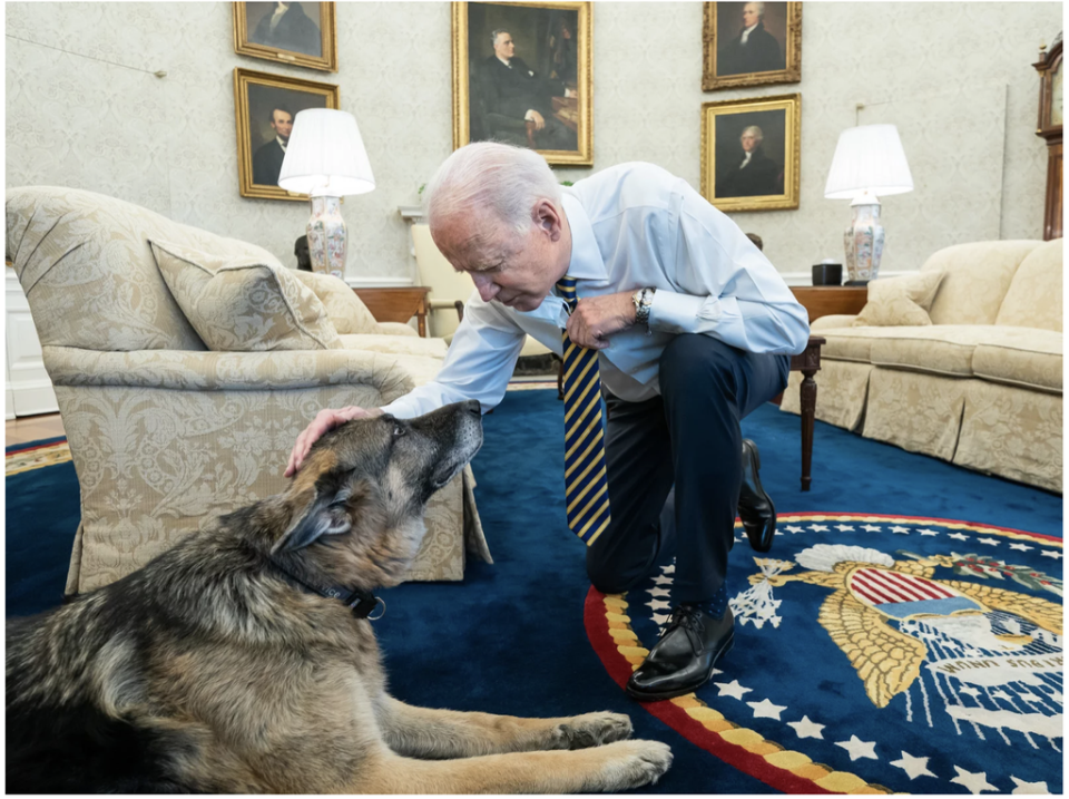 President Biden confers with his late senior Canine-American adviser, Champ, in the Oval Office (Adam Schultz / The White House)