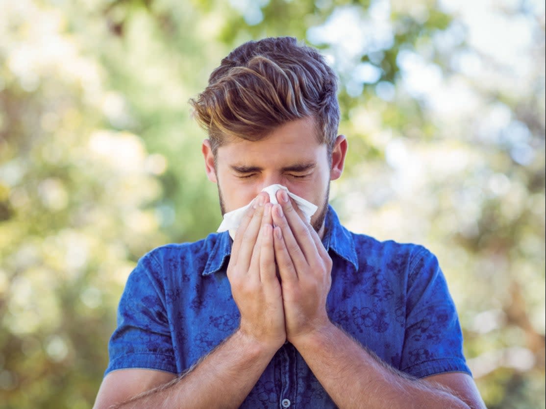 Hay fever sufferers have complained of worsened symptoms this year, which could be caused by a number of factors (Getty Images/iStockphoto)