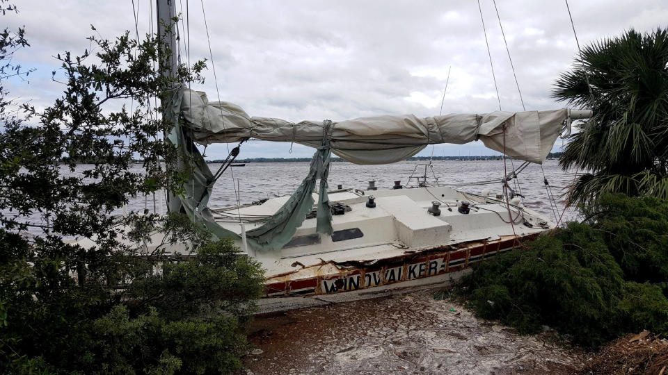 An unmoored boat came to rest along the banks of the Trout River.