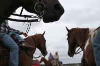 ASSATEAGUE ISLAND, VA - JULY 21: Saltwater cowboys prepare to round up wild ponies and heard them to a holding pen before making next weeks annual swim across the Assateague Channel to Chincoteague Island, on July 21, 2012 in Assateague Island, Virginia. Each year the wild ponies are auctioned off by the Chincoteague Volunteer Fire Company. (Photo by Mark Wilson/Getty Images)