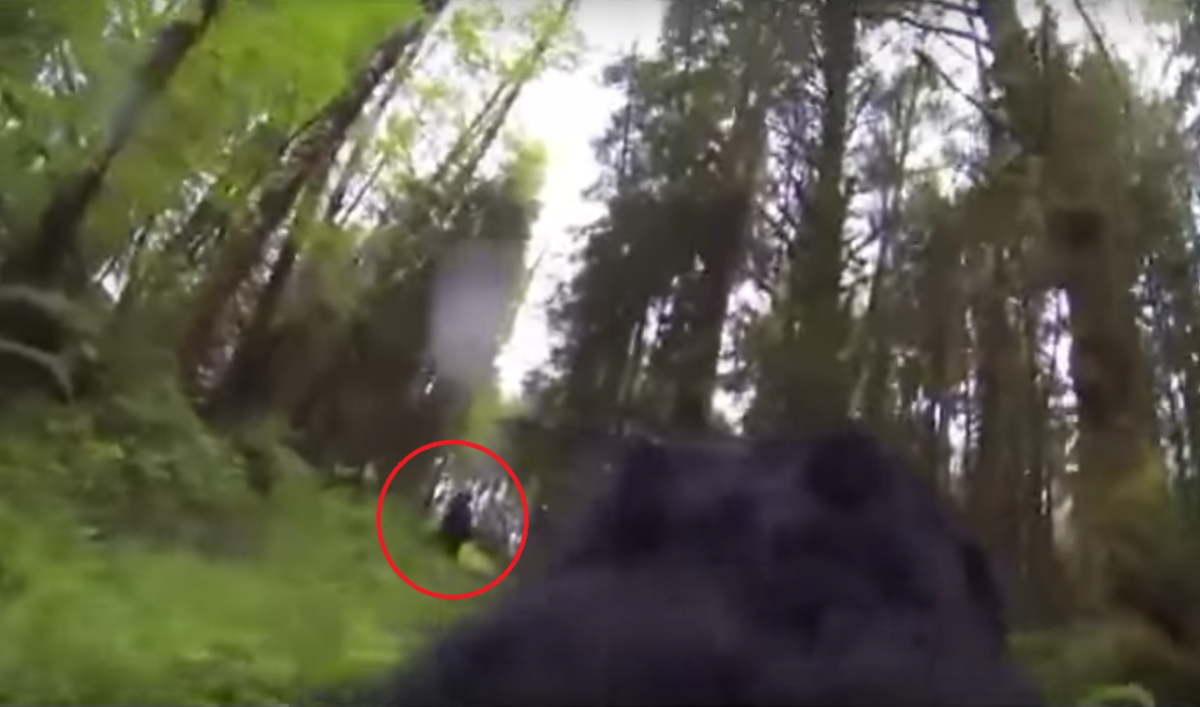 Creature resembling Bigfoot caught on camera walking across