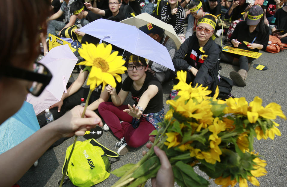 Protesters distribute sunflowers during a massive protest denouncing the controversial China Taiwan trade pact in front of the Presidential Building in Taipei, Taiwan, Sunday, March 30, 2014. Over a hundred thousand protesters gathered in the demonstration against the island's rapidly developing ties with the communist mainland. (AP Photo/Wally Santana)