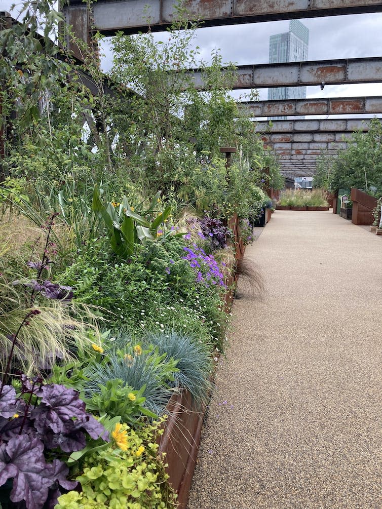 Colourful plants in a plant bed along a walkway.