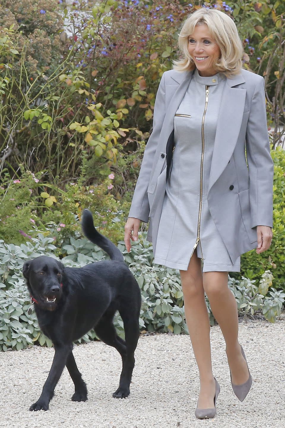 <p>In a grey blazer, light grey zip-up mod dress, and grey suede heels while out in Paris with Emmanuel Macron and their dog, Nemo.</p>