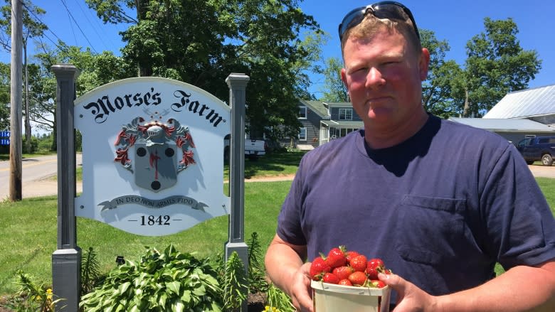 Farmer fears future after Sobeys rejects $24K worth of strawberries