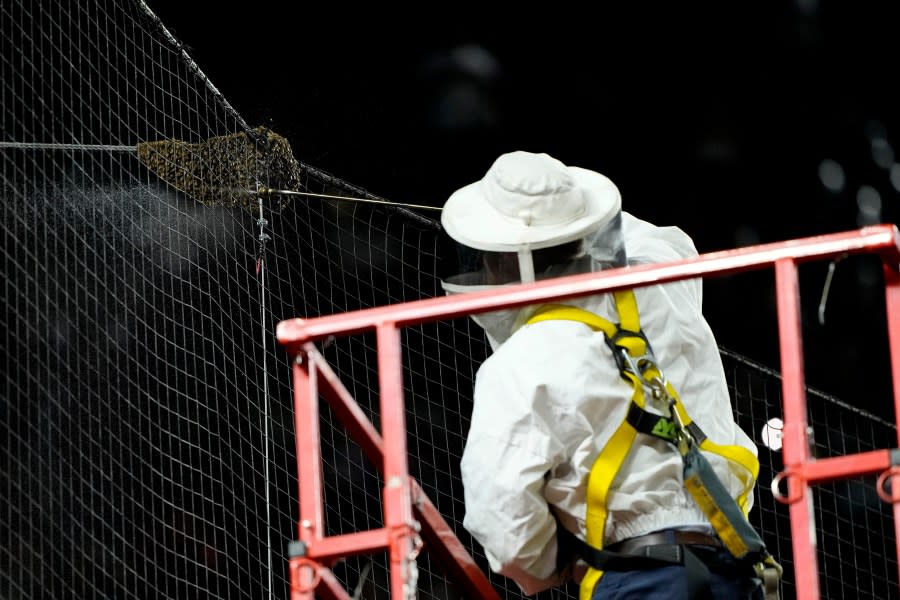 A bee keeper removes a swarm of bees gathered on the net behind home plate delaying the start of a baseball game between the <a class="link " href="https://sports.yahoo.com/mlb/teams/la-dodgers/" data-i13n="sec:content-canvas;subsec:anchor_text;elm:context_link" data-ylk="slk:Los Angeles Dodgers;sec:content-canvas;subsec:anchor_text;elm:context_link;itc:0">Los Angeles Dodgers</a> and the Arizona Diamondbacks, Tuesday, April 30, 2024, in Phoenix. (AP Photo/Matt York)