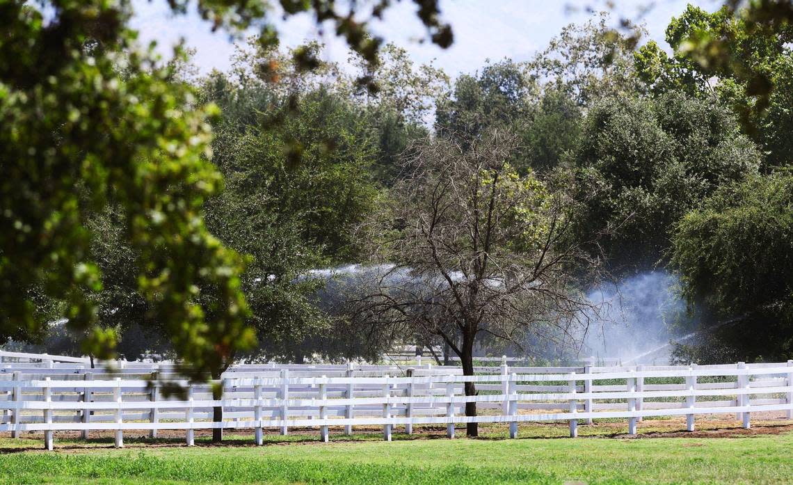 The Harris River Ranch property, over 7,000 acres near the Kings River along Trimmer Springs Road, has been proposed as a special study area and added to the Fresno County general plan. The land owned by John Harris may become home to a college campus, housing, commercial, recreational use including hiking trails along the river and more. Photographed Thursday, July 14, 2022.