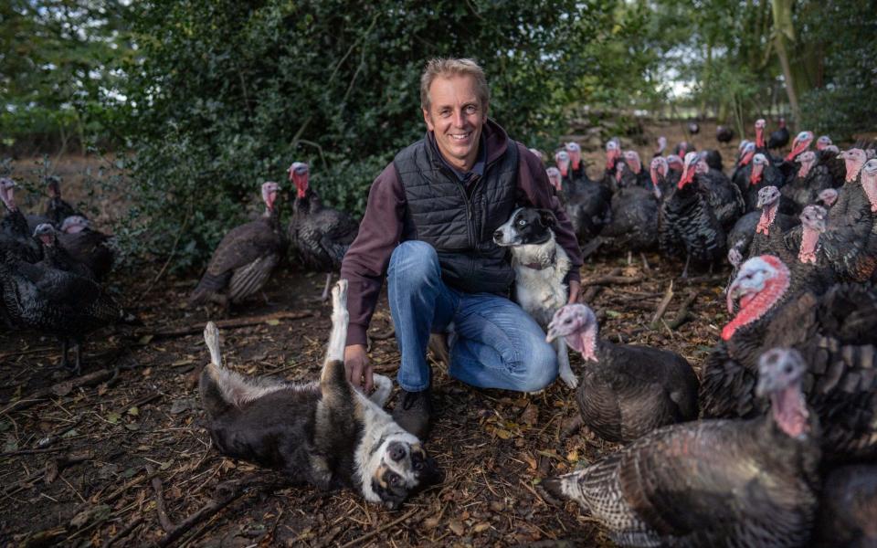 Steve Childerhouse, 50, a turkey farmer in Norfolk, has told of his devastation at being forced to cull his entire flock of 10,000 turkeys destined for UK Christmas dinner tables - Tom Maddick / SWNS