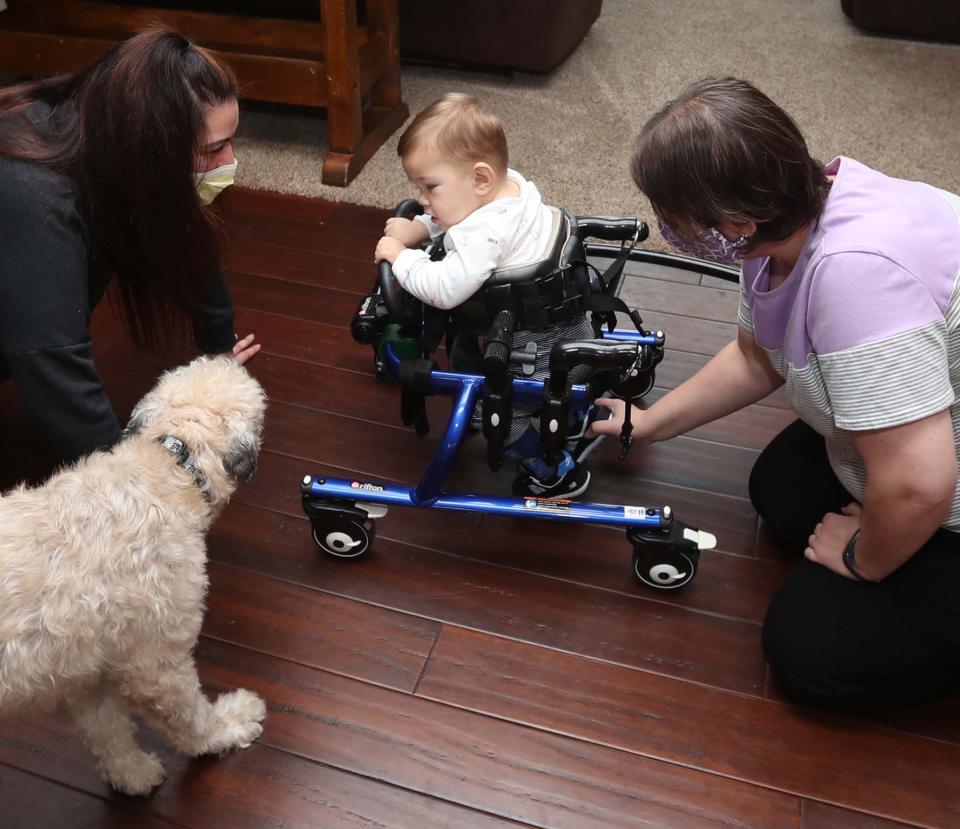 David Detwiler, 19 months, is encouraged by his mother, Carlla Detwiler, and the family dog, Charlie, to take a step during a  session with physical therapist Jenn Masser in Massillon.