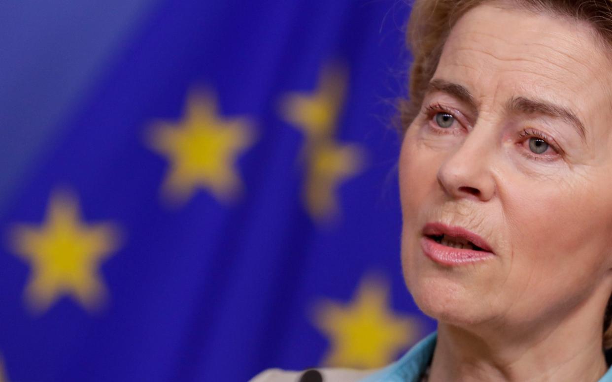 Ursula von der Leyen has faced questions over her judgement after appearing in the clip.  - Rex