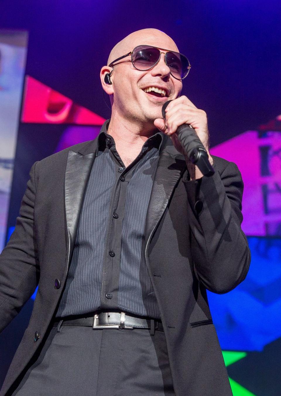 19) Pitbull