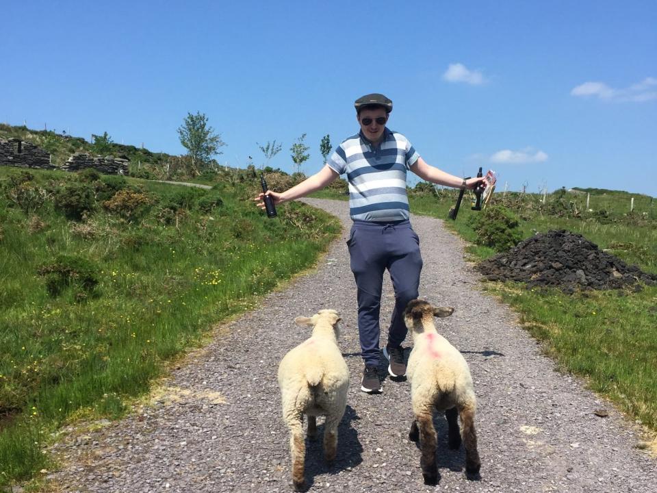 alexis' boyfriend herding sheep on a dirt path in ireland