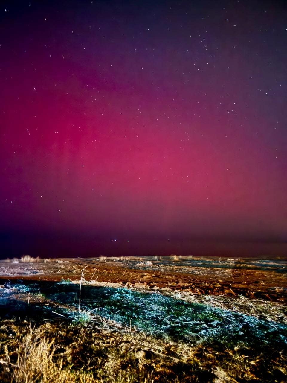 Starry night sky with a pinkish hue over a barren landscape. Sparse vegetation is visible under the starlit sky