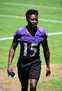 FILE PHOTO: NFL: Baltimore Ravens-Minicamp