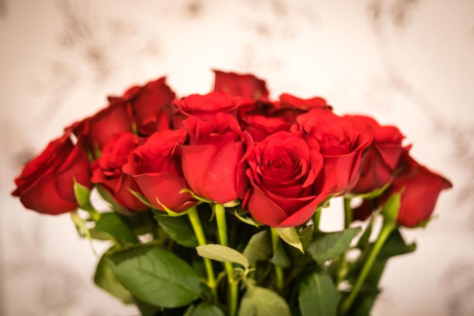 Why Bloom & Wild isn't selling red roses this Valentine's Day