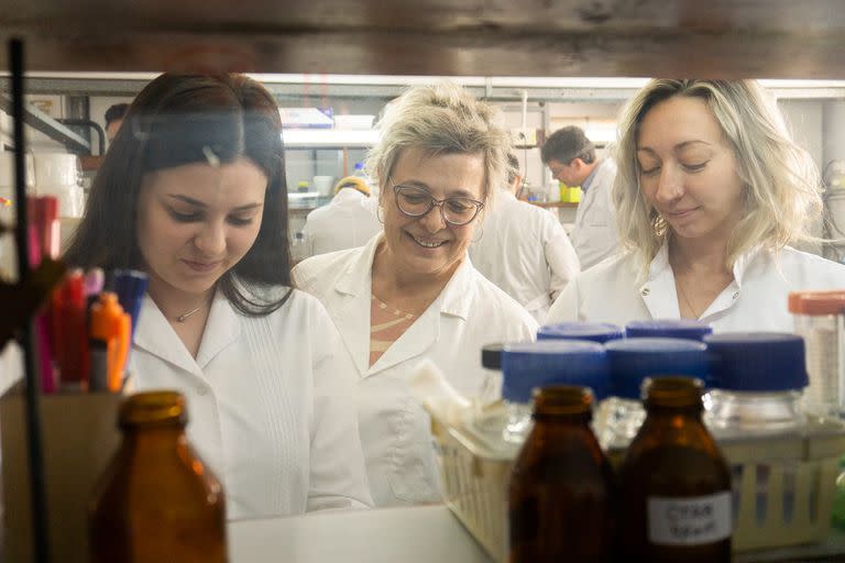 Carla Giacomelli en el laboratorio del Instituto de Investigaciones en Físicoquímica de la Universidad de Córdoba