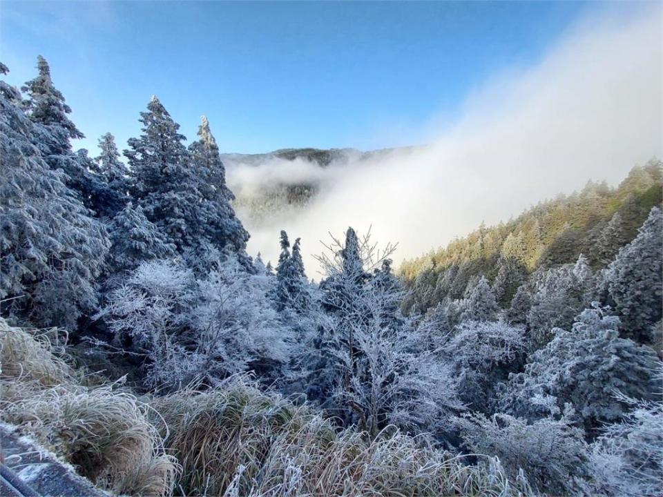 快新聞／連假最後2天要把握！　太平山冰霜、霧凇美景引遊客綿延3公里