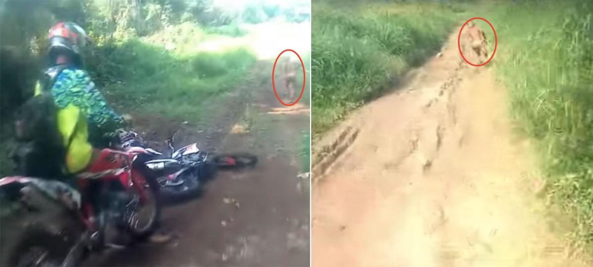 Bikers claim to have seen “dwarf man” from lost tribe in Indonesian jungle