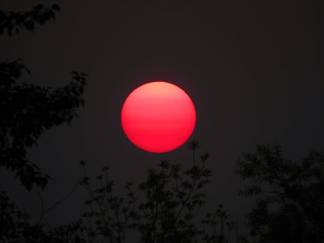 A smoky sunrise over Seattle, Washington. May 18, 2023.