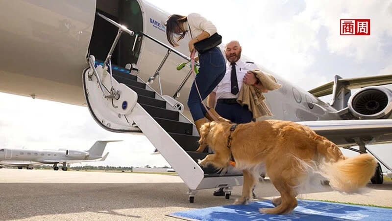 Bark Air不僅允許狗狗上機，且可省略海關、安檢程序，只要在飛機起飛前一小時，和飼主抵達機場即可。 (來源：取自Bark Air官網)