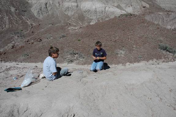 One of Tom Williamson's 12-year-old twin sons found the delicate bird fossil. (The twins are now 20 years old, but still talk with their dad about fossils.)