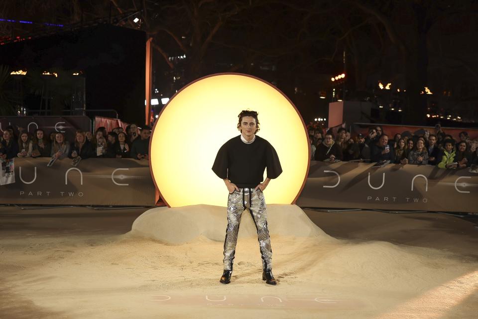 Timothee Chalamet poses for photographers upon arrival at the World premiere of the film 'Dune: Part Two' on Thursday, Feb. 15, 2024 in London. (Photo by Vianney Le Caer/Invision/AP)