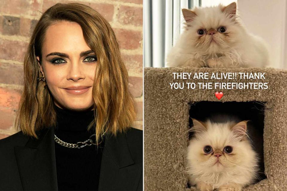 <p>Kristina Bumphrey/WWD/Getty; Cara Delevingne/Instagram</p> Cara Delevingne Confirms Her Cats Survived Massive Blaze That Engulfed Home, Thanks Firefighters