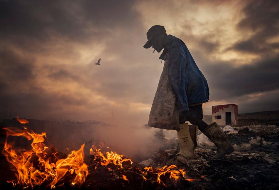 "Scavengers" by João Coelho.