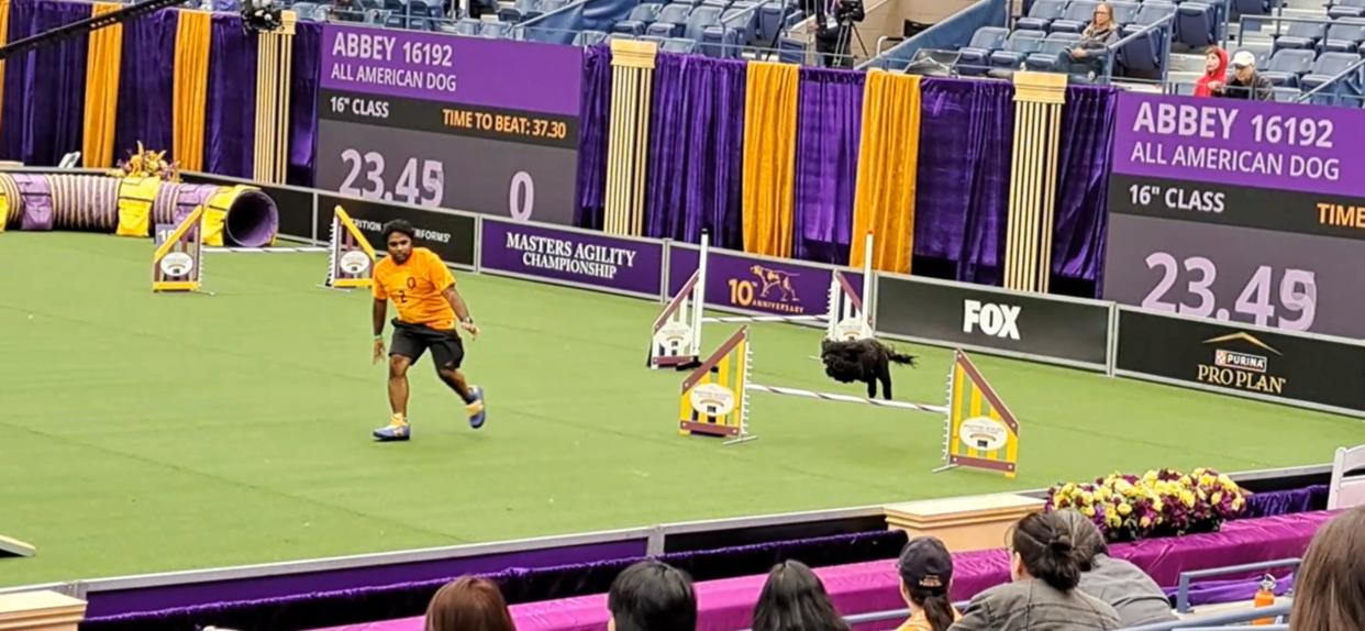 Sri Kothur and Abbey, an All American dog competing in the 10th annual Westminster Masters Agility Championship in Queens, NY.