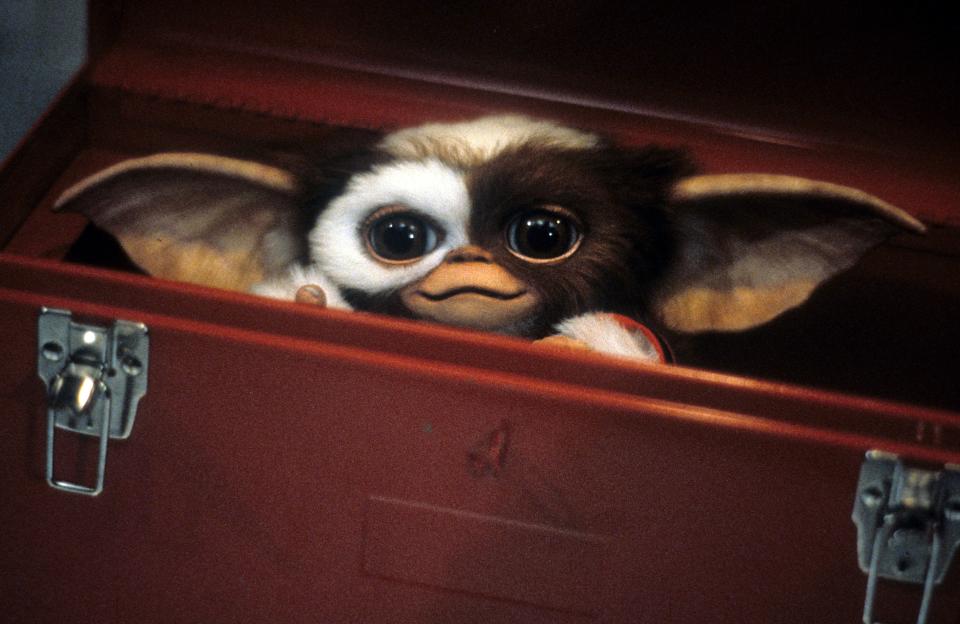 Gizmo in the 1984 film "Gremlins."