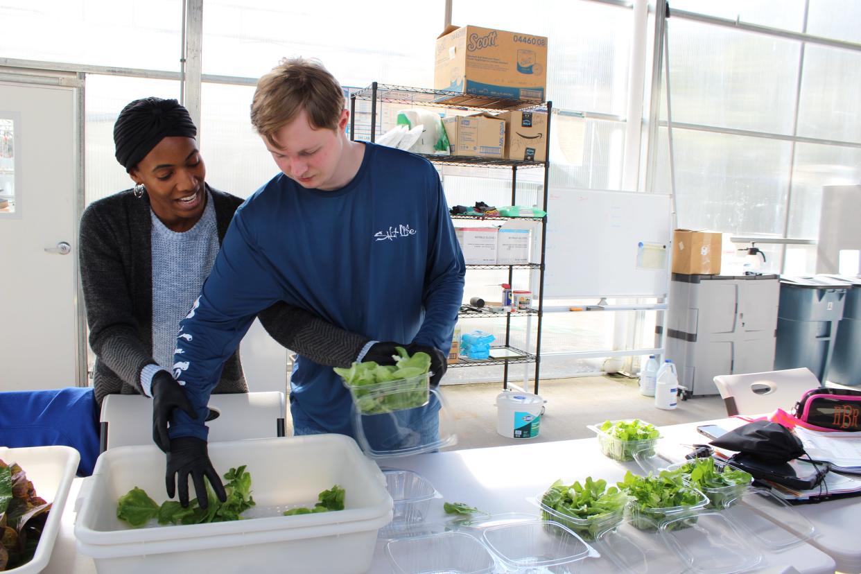 Matthew Schlenker, 21, a student at Somerset Hills Learning Institute in Bedminster, works at the school’s social enterprise Three Meadows Farm. He and his fellow students have brought a new product, Paradise Salad, to ShopRite of Chester, their first retail partner.