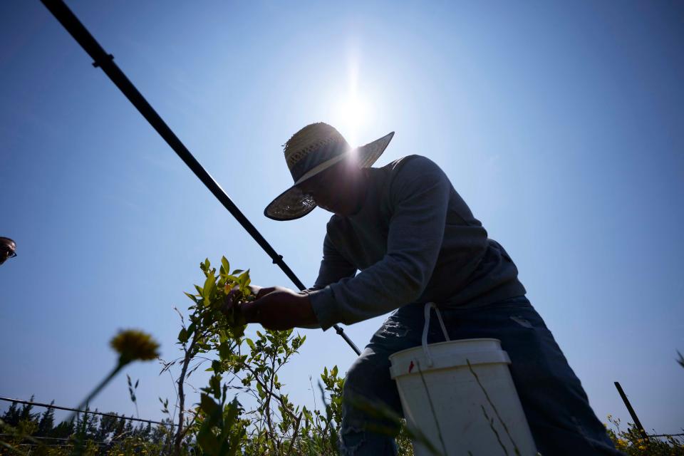 Climate change poses risks to farmworkers and others who spend their days outside.