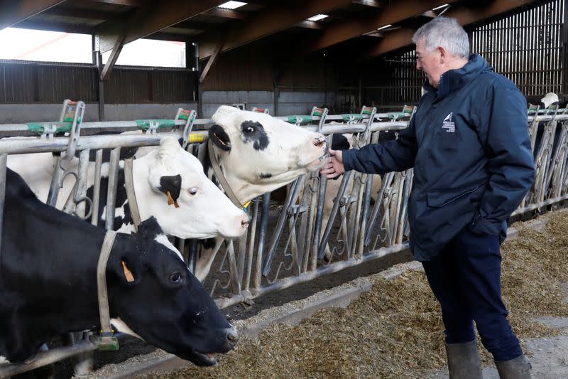 Farmer and breeder Jean-Claude Pette poses next to his cows in his farm at Lizines